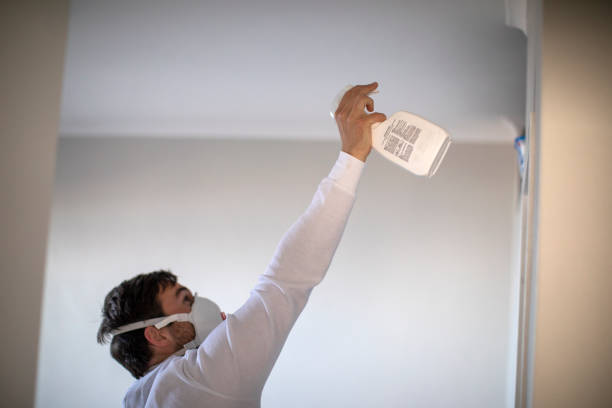 Best Mold Removal Company Near Me  in Amelia Court House, VA