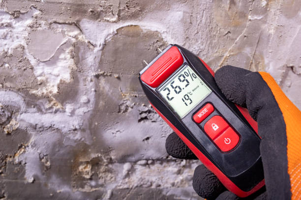Best Residential Mold Removal  in Amelia Court House, VA