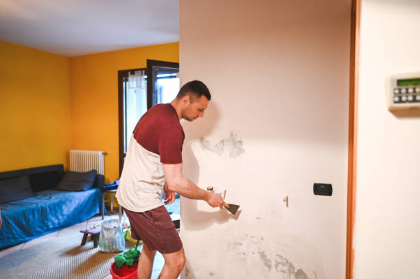 Best Emergency Mold Removal  in Amelia Court House, VA